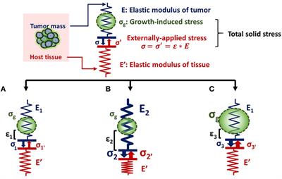 Defining the Role of Solid Stress and Matrix Stiffness in Cancer Cell Proliferation and Metastasis